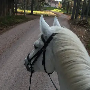 Om du är intresserad av något så prutta på 🌸 det som inte blir sålt slängs!!