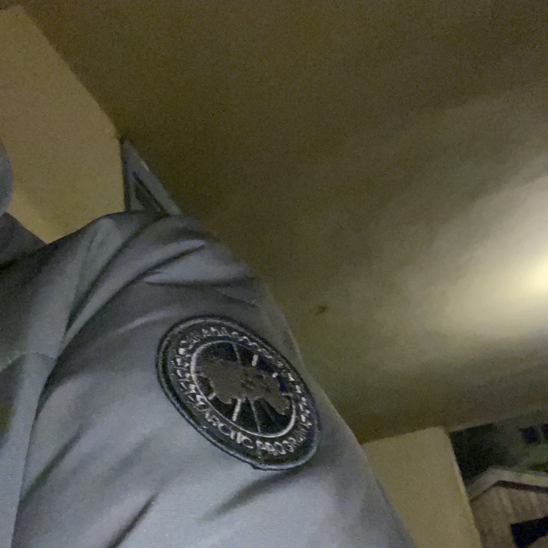 Canada goose stl M - 91