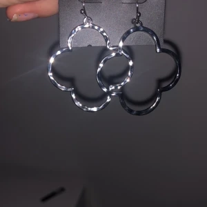 Örhängen - Blommor, köpta i Paris för 800kr, inga skrapor, mycket bra kvalitet, medelstora, kom privat för fler bilder.