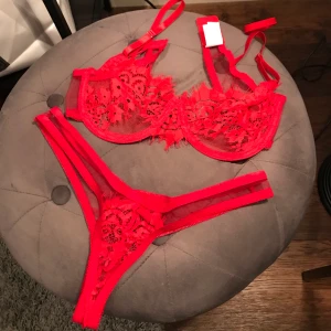 Underklädesset - Fint rött set som aldrig blivit använt och endast testat utanpå kläder. Frakten ingår i priset