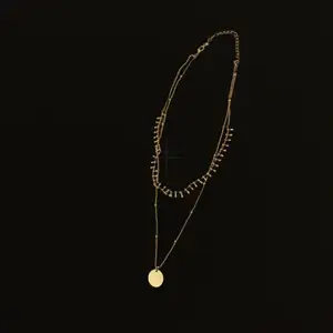 Guld halsband från H&M, bara använt en gång