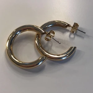 Örhängen  - Oanvända örhängen, har bara provat dom🥰