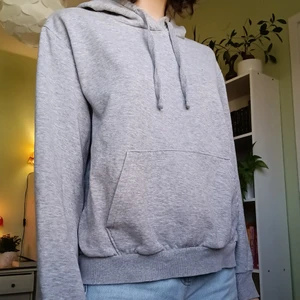 Grå hoodie - Bra skick 