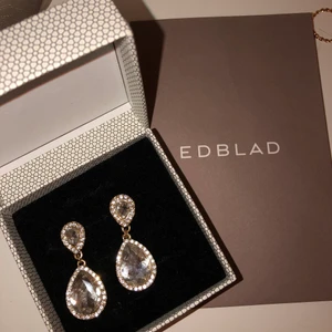 Edblad örhängen  - Örhängen från Edblad köpt 2018. Använd fåtal gånger. Fin hängande örhängen med stor Sten och fina små stenar runt om. Nypris 500kr 