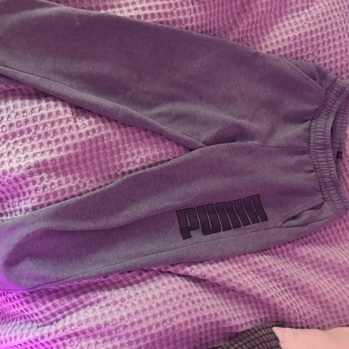 PUMA