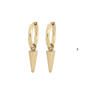 Edblad örhängen  - Edblad örhängen, i nyskick endast testade. 