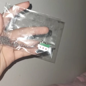 Rostfri Syrien halsband - Rostfri Syrien halsband, aldrig haft den på mig helt ny