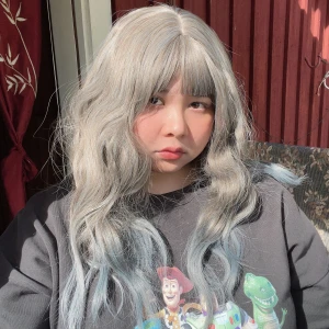 Wig  - Ser ut som riktigt hår, jag har använt den 2 gånger ☺️