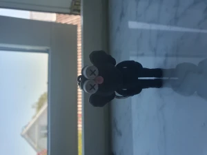 Kaws keychain - Kaws keychain, kopia