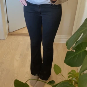Supersnygga low waist jeans🤩🤩 - Jag säljer ett par jättesnygga svarta low waist flare/bootcut jeans för att de blivit lite för små och inte kommer till användning längre. De är köpta från gina tricot för ungefär 500kr så jag säljer de för ungefär 200kr men ni kan komma med prisförslag🤍
