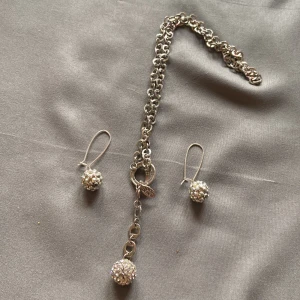 Halsband och örhängen  - Säljer ett Halsband och örhängen i set 