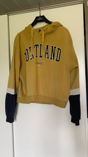 Tröja H&M - Tröja från H&M storlek L men upplevs som S/M   Finns en fläk se bild ovan   Finns hund och katt i hemmet och kan förekomma hår på plagget🥰  50kr+ ev frakt eller bud med rätt att neka 