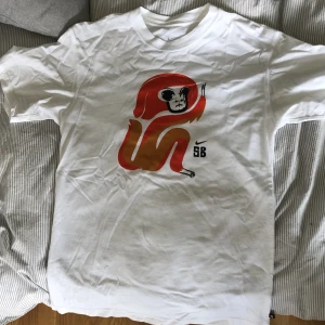 Nike SB t shirt - Nike SB t shirt i väldigt bra skick, endast använd fåtal gånger. Storlek XS men sitter mer som S