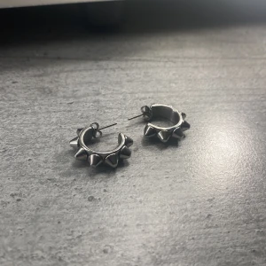 Edblad spikörhänge - Supersnygga örhängen har bara använt två gånger. Säljer pga att jag har för mycket örhängen😅 (pris kan diskuteras🥰) ord pris 400kr säljs för 160kr!!