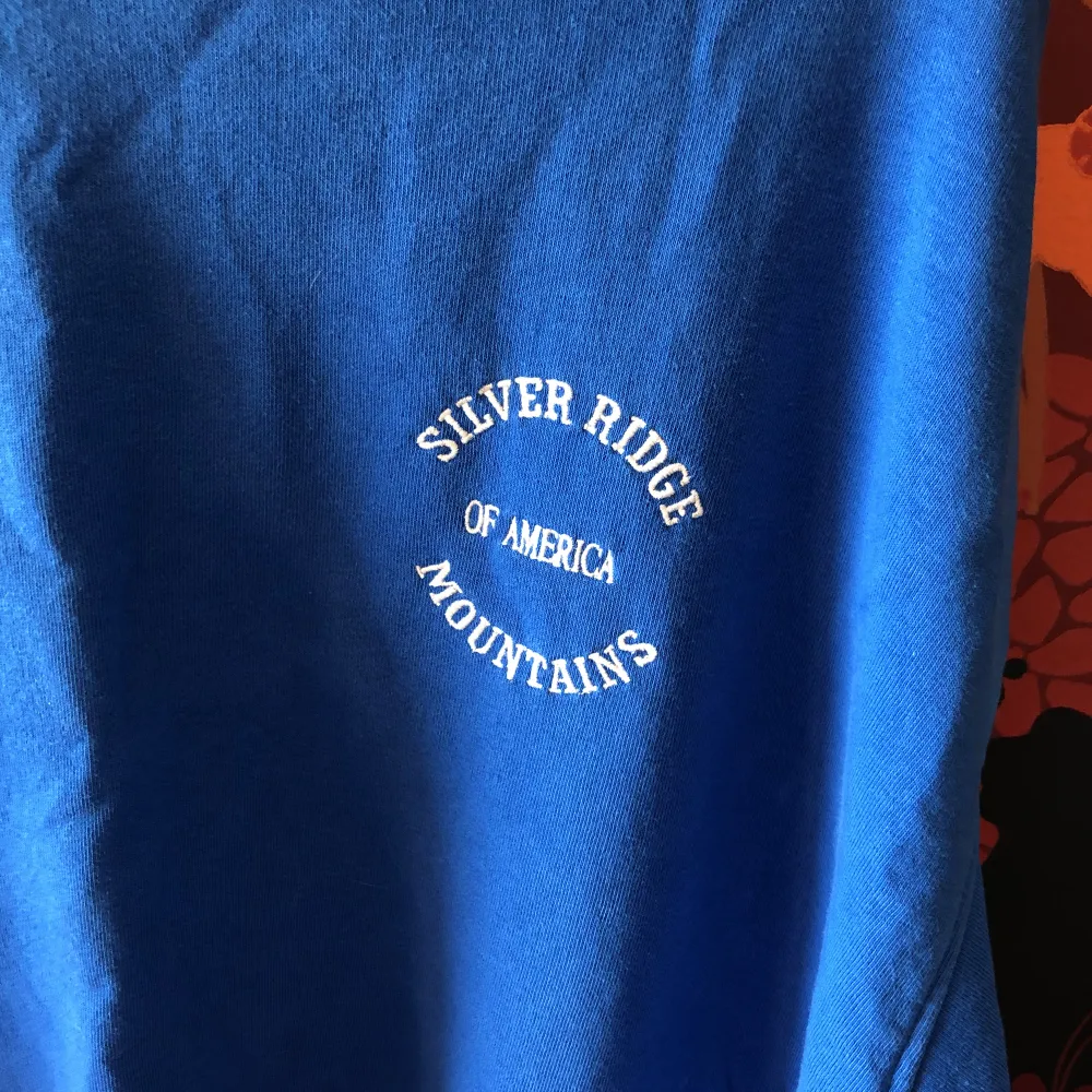 Blå sweatshirt från H&m i oversized modemm. Tröjor & Koftor.