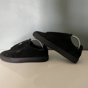 Axel Arigato Skor - Axel Arigato skor i fint skick. DM för fler bilder. Kvitto finns