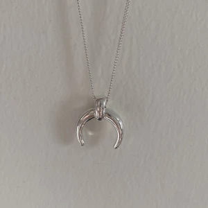 Silvrigt halsband - Silvirgt halsband från NA-KD