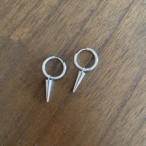 Edblad örhängen - Säljer nu dom här super fina örhängena från Edblad eftersom dom inte kommer till användning längre, hör av dig för fler blider eller frågor💗💗