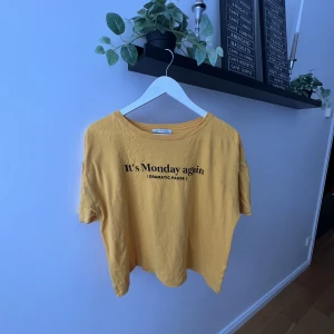 T-shirt - ZARA  - Perfekta måndagströjan ;)  Basic t-shirt från Zara. 