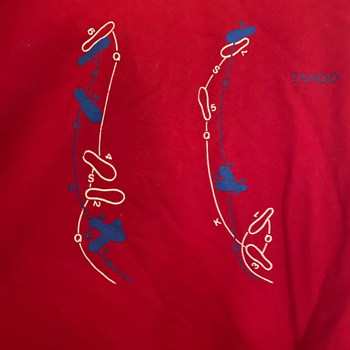 Röd tjocktröja med motov - 90