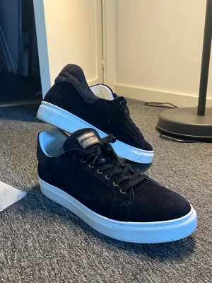 Helt nya Philip Hog skor - Schyssta skor från Svenska Philip Hog, endast använda en gång. Skorna är i mörkblå mocka, storlek 45. 