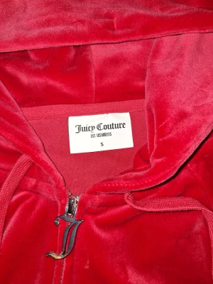 Hoodie juicy couture  - Storlek s men jag tycker den är som storlek m använd Max 1-2 gånger 