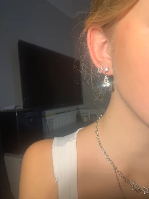 Silver lrhäbgen - Jätte fina silver örhängen 