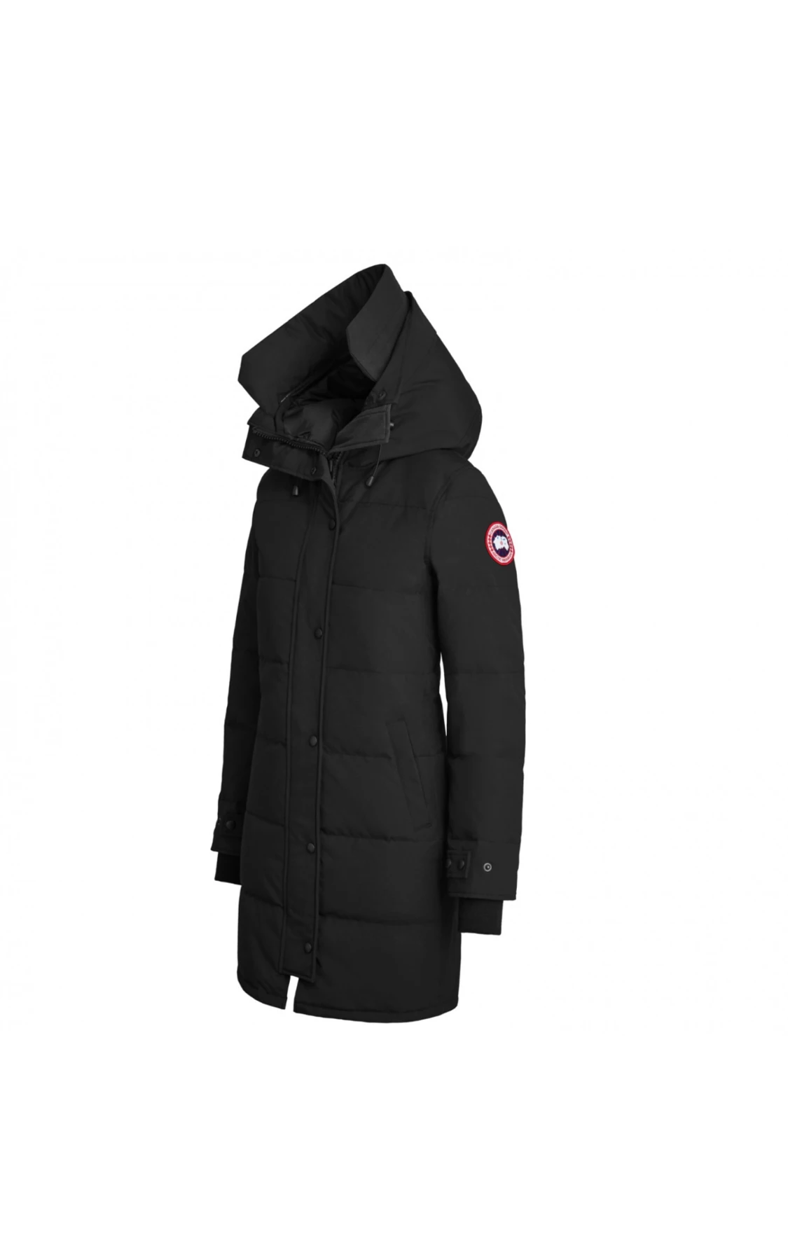 Canada goose shelburne