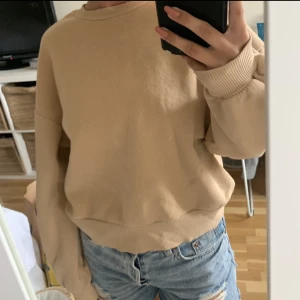 Sweatshirt  - Sweatshirt 