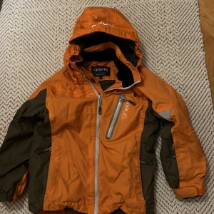 Gneis  - Fin skudjacka från Gneis 