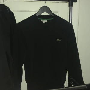 Lacoste tröja - Hej jag säljer en Lacoste tröja storlek xs köpt på Zalando för 1295kr den va liten i storleken den har varit hos mig i en månad nu och har inte orkat sälja den kom dm för mer info 