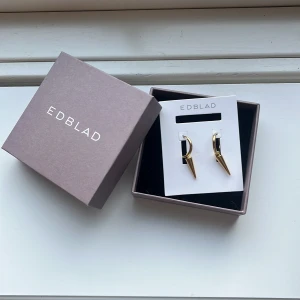 Peak Hoops Gold - Peak Hoops Gold örhängen från Edblad. Aldrig använda, orginalpris: 399kr🩷🩷