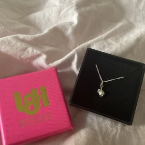 L8hasselblad halsband - Berlocken är ett hjärta, köpt för ungefär 500kr men säljer för 250kr❤️