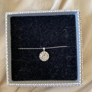 Halsband från Lily and rose - Silvrigt halsband från Lily and rose. Kedja + smycke 