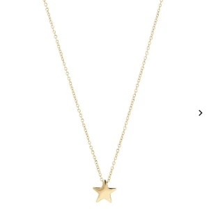 Edblad halsband  - Guldigt halsband från Edblad med en stjärna. Köpt för 299 säljer för 150kr💕