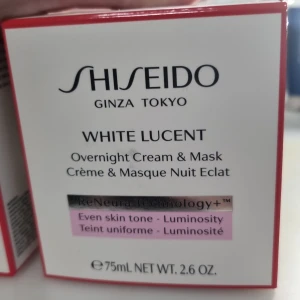 Ansiktsmask  - Fick som en inte önskad present . Inte öppnat. 