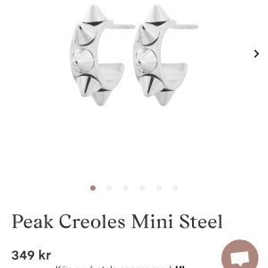 Edblad örhängen - Säljer dessa örhängen från Edblad 💗