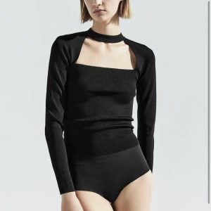 Choker topp zara svart  - Svart långärmad topp från zara med choker, slutsåld på hemsidan just nu. Endast använd fåtal gånger därav i nyskick