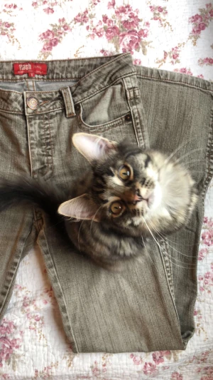 Flare Jeans - Mid waist flare jeans ❣️ Köpte begagnat men ser knappt använda ut. Säljer för de kommer inte till användning ❣️❣️ Står att det är strl 38 men passar mig med XS-S bara lite stora i midjan! 