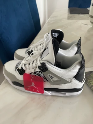 Skor - Jordan4  Helt ny skor har inte använt den  43 storlek 
