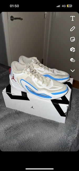 Tatum 1  - Ett par tatum 1s med låda och allt, dom är storlek 45 men slitna dock fortfarande helt körbara i då inte dom är så skadade enu att de påverkar prestationen på planen 