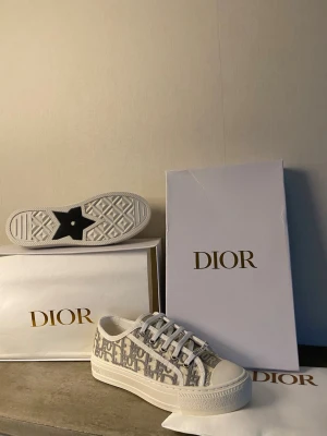 Dior Oblique låga sneakers - Snygga låga sneakers från Dior med klassiskt grått och vitt Oblique-mönster på canvas. Skorna har vita snören, tjock vit sula och detaljer med 'CHRISTIAN DIOR' på sidan. Perfekta för dig som vill ha en exklusiv och trendig look.