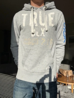 Archive grå vintage hoodie - En riktigt snygg hoodie från socal&co🤩. Väldigt bra passform och passar som storlek S/M. I toppskick. Skicka gärna frågor och prisförslag!