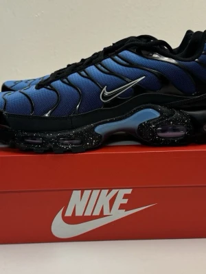 Nike Air Max Plus  - Gott skick, size 42