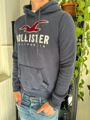 Hollister hoodie herr  - En rikigt schysst hoodie nu till hösten som passar till allt och är stilren. Det är en hollister Malibu hoodie som är väldigt populärt nu! Storlek S 