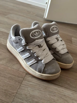 Adidas campus - Adidas campus
