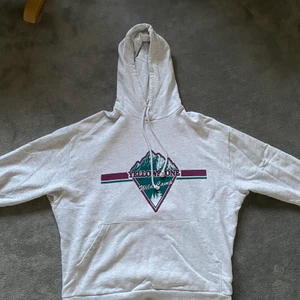 Hoodie med tryck - En skön hoodie med tryck från ASOS i strl L. Använd fåtal gånger, bra skick. Köparen står för frakt! 😃