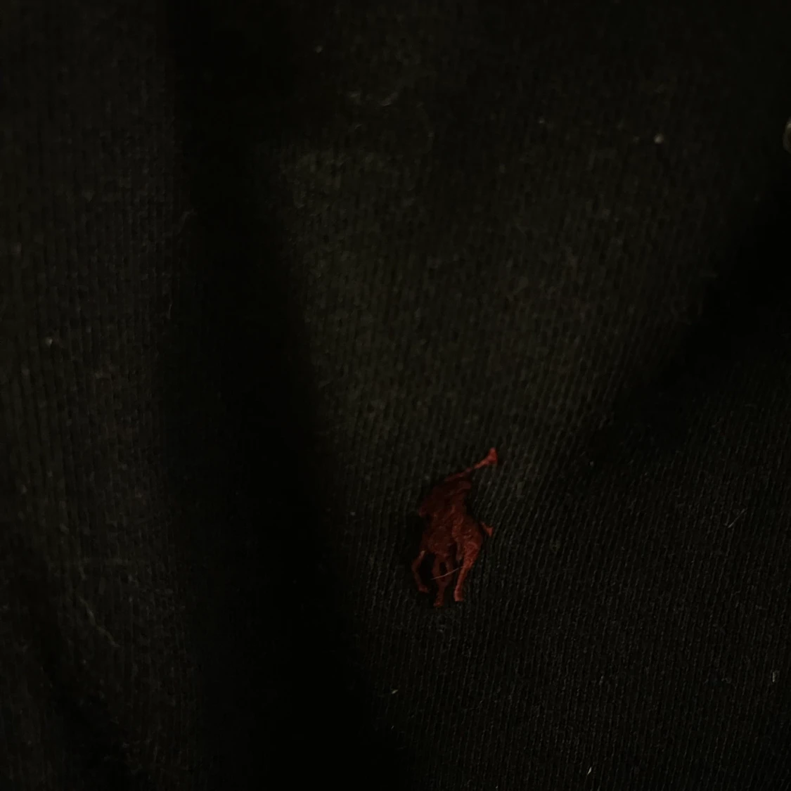 Ralph Lauren zip hoodie  - 91