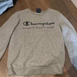 Tröja  - En till champion tröja som är grå pris går att diskutera