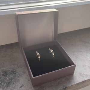 Edblad örhängen - Säljer dessa Edblad örhängen för att dom ej kommer till andvändning 😅